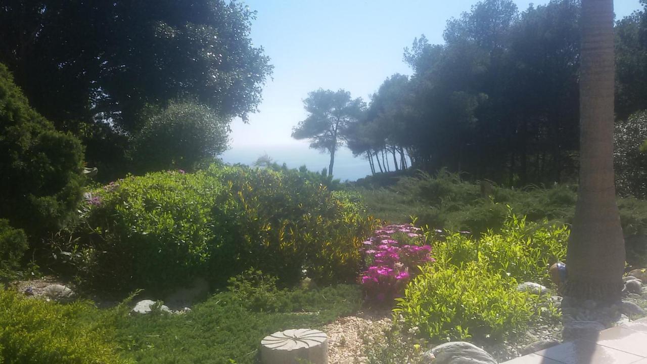 Villa Amadeus Xabia Balcon del Mar エクステリア 写真