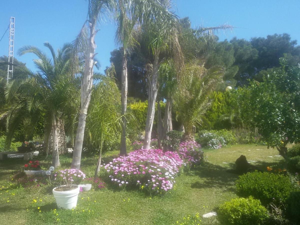 Villa Amadeus Xabia Balcon del Mar エクステリア 写真