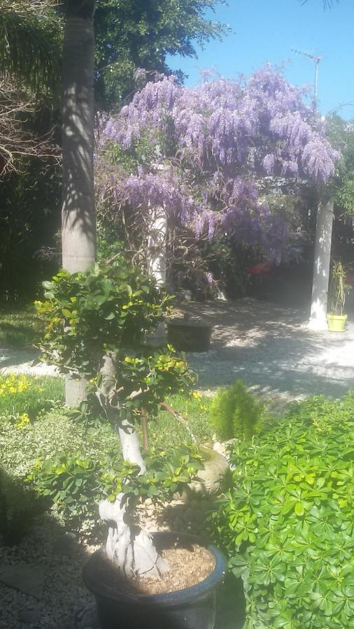 Villa Amadeus Xabia Balcon del Mar エクステリア 写真