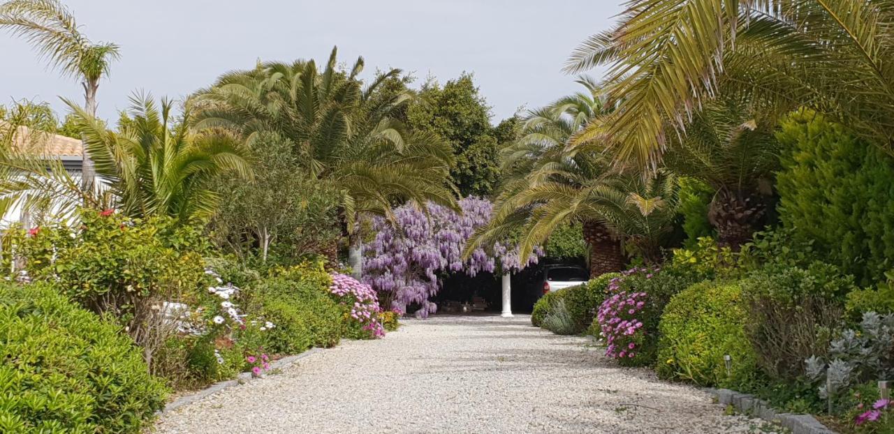 Villa Amadeus Xabia Balcon del Mar エクステリア 写真